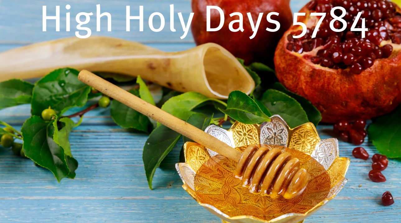 Celebrate the High Holy Days 5784 with BTM! B'nai Torah MetroWest