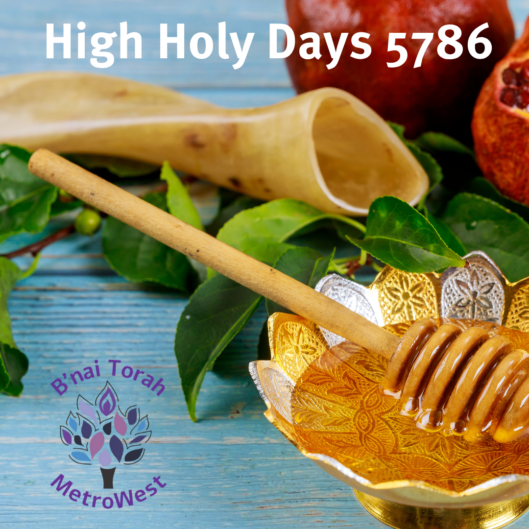 The featured image for Share the High Holy Days with Us!.