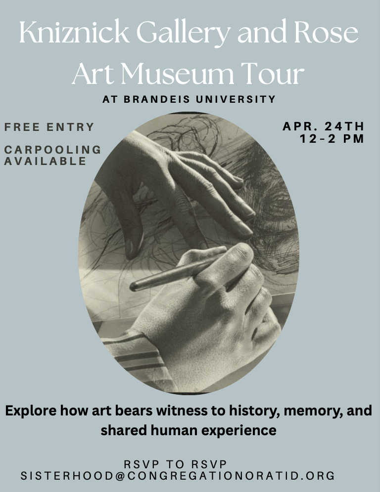 The featured image for Kniznick Gallery & Rose....