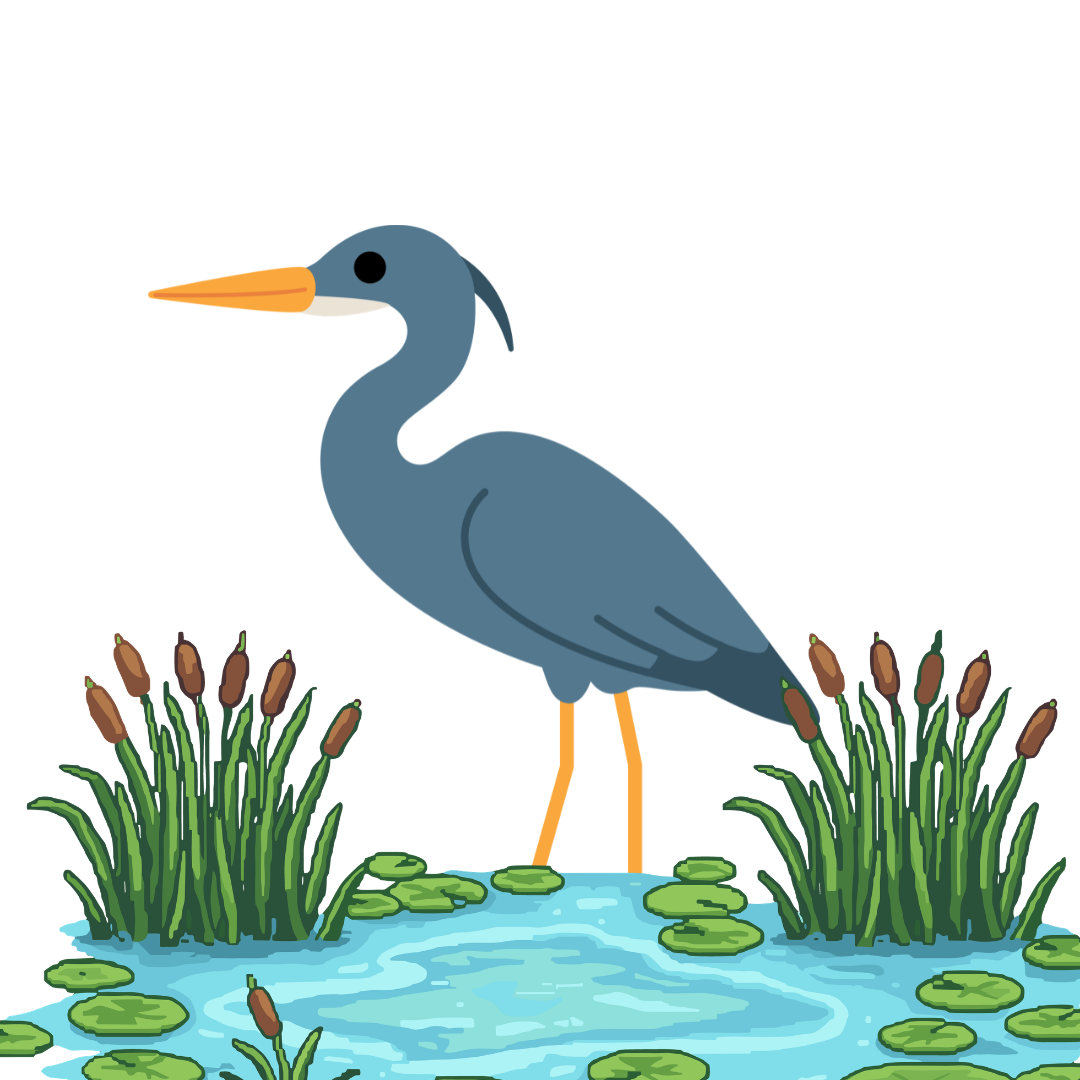 The featured image for Common Ground Morning Birdi....