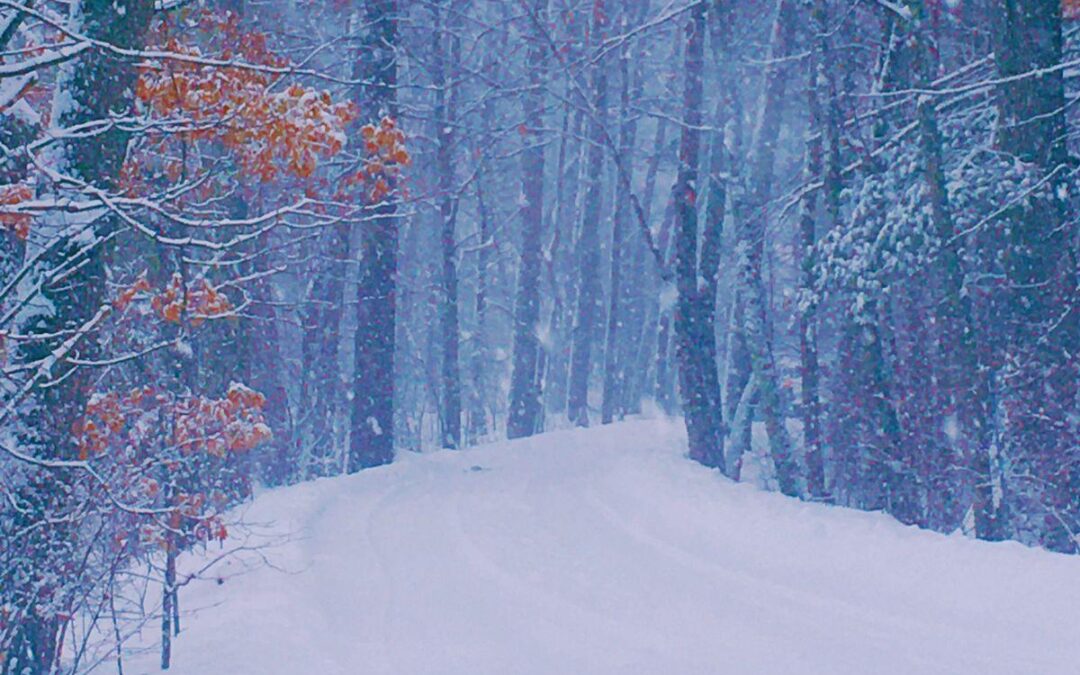 Who Will Remain: Community Yom HaShoah Commemoration