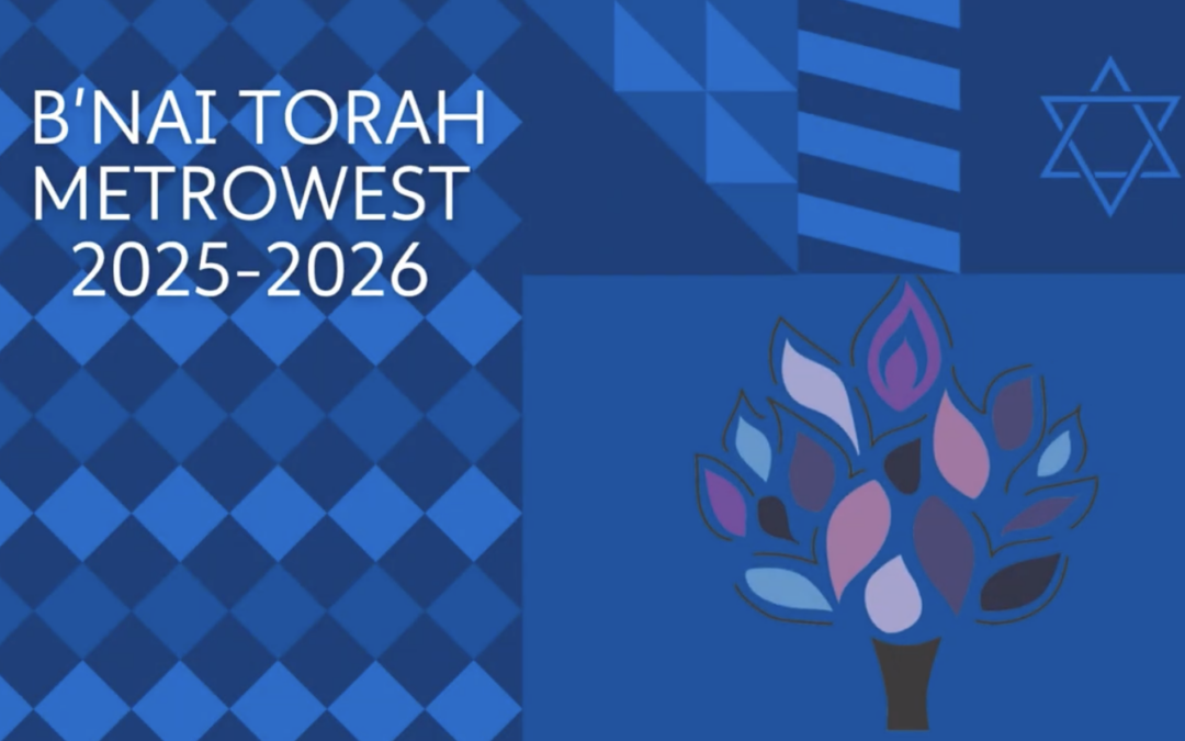 2025-2026 Highlights Video