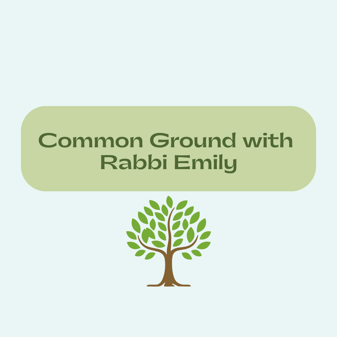 The featured image for Common Ground: deCordova Sc....