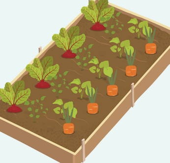 The featured image for BTM Community Garden.
